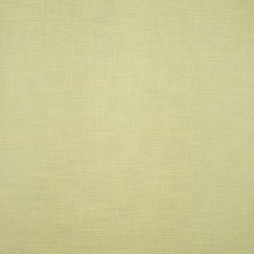 Wind - Baya - 3 Grün