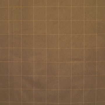 Wind - Dundee - 5 Braun