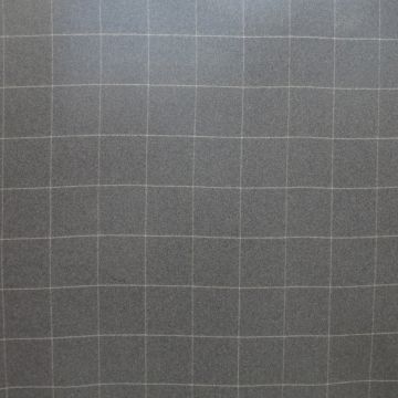 Wind - Dundee - 7 Natur