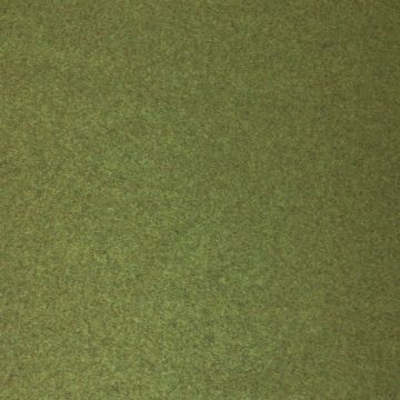 Wind - Glasgow - 3 Grün