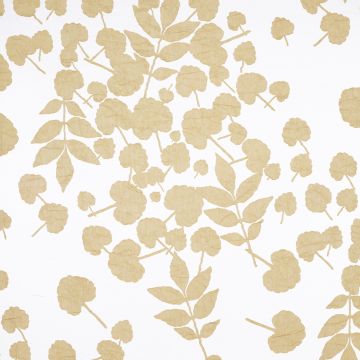 Wind - Hydra - 3 Grün