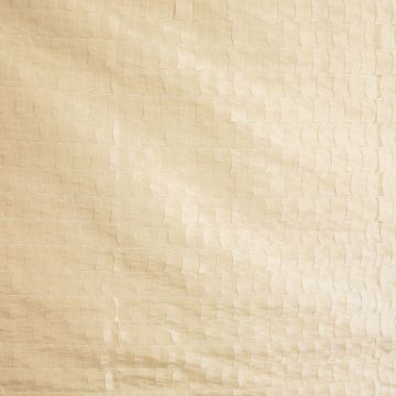 Wind - Magic - 8 Natur