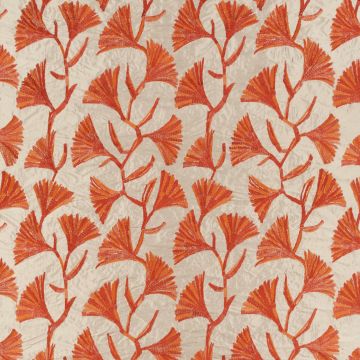 Wind - Sirmione - 16 Orange