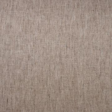 Wind - Sphinx - 5 Braun