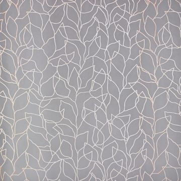 Wind - Toledo - 16 Orange