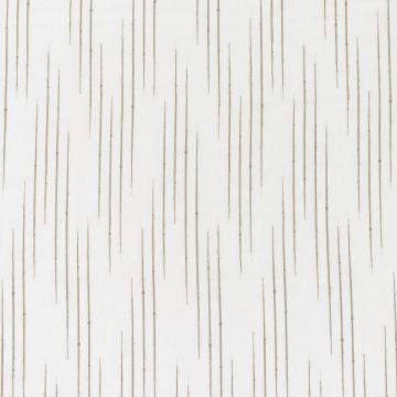 Wind - Trinidad - 6 Natur