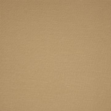 Wind - Zen - 8F Natur