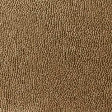 Zimmer + Rohde - Levante - 10801/814