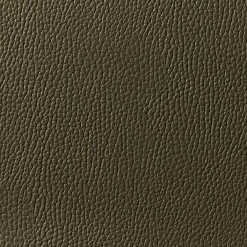 Zimmer + Rohde - Levante - 10801/876