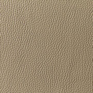 Zimmer + Rohde - Levante - 10801/883