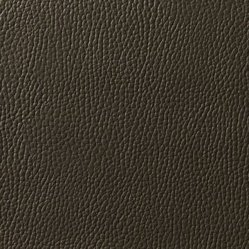 Zimmer + Rohde - Levante - 10801/887