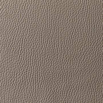 Zimmer + Rohde - Levante - 10801/984