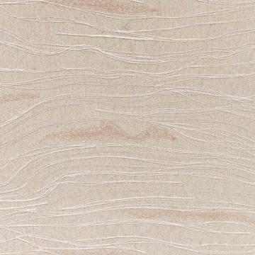 Zimmer + Rohde - Random Lines - 10925/883