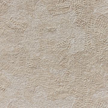 Zimmer + Rohde - Graffiti - 10926/883