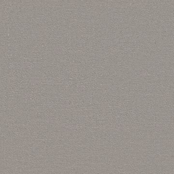 Zimmer + Rohde - Daybreak RE - 10960/893