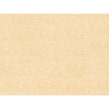 Zimmer + Rohde - Tunis - 1286/911