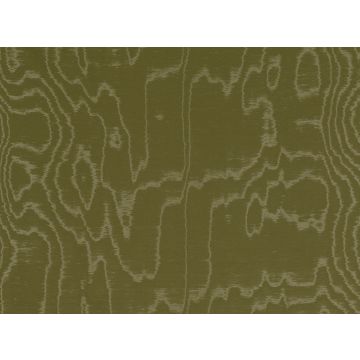 Zinc - Athne - Z582/09 - Kiwi