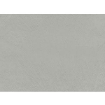 Zinc - Dino - Z594/03 - Silver Grey