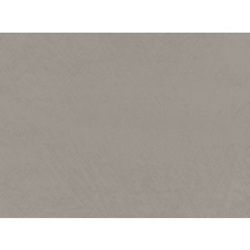 Zinc - Dino - Z594/05 - Spacedust