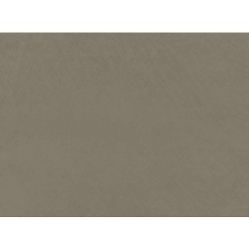 Zinc - Dino - Z594/07 - Lichen