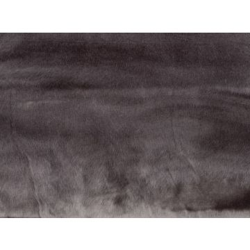 Zinc - Agouti - Z742/01 - Agouti