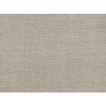 Zinc - Edenite - ZW133/07 Goldsand