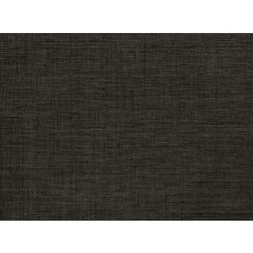 Zinc - Edenite - ZW133/08 Eggplant