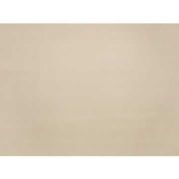 Zinc - Sueded - ZW141/01 Spacedust