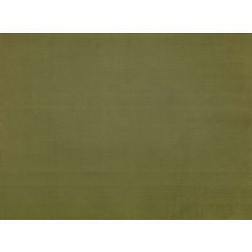 Zinc - Sueded - ZW141/07 Cypress