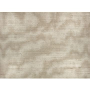 Zinc - Caractre - ZW143/02 Taupe