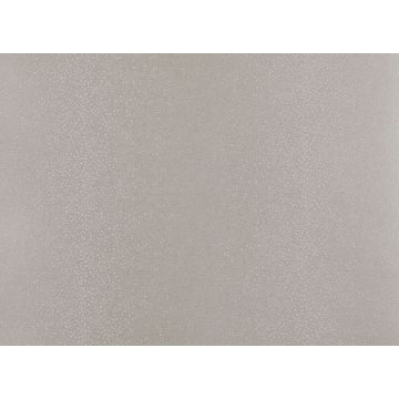 Zinc - Shagreen - ZW104/01 Moonbeam