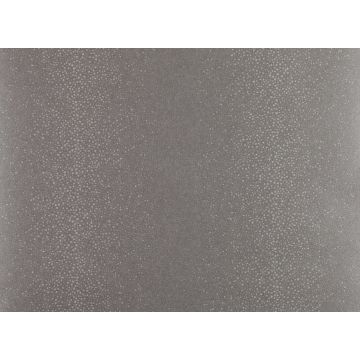 Zinc - Shagreen - ZW104/04 Patina