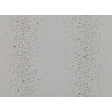 Zinc - Shagreen - ZW104/06 Frost