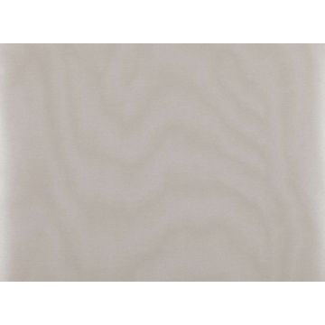 Zinc - Surround - ZW114/01 Moonbeam