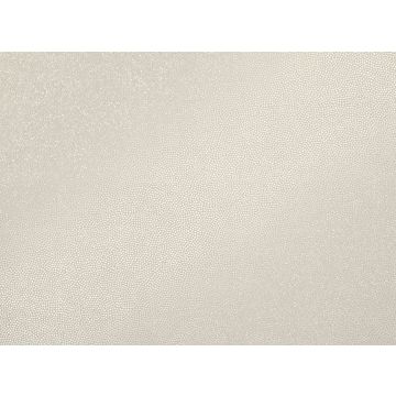 Zinc - Megeve - ZW117/01 Frost