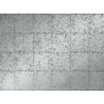 Zinc - Villars - ZW118/01 Frost