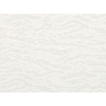 Zinc - Baqueira - ZW123/04 Blizzard