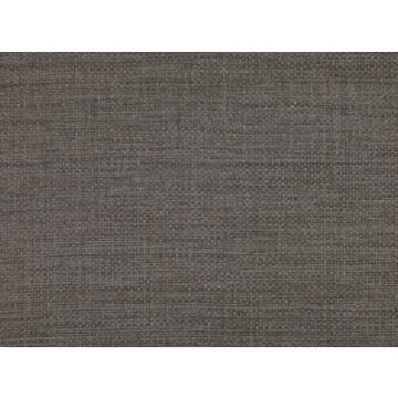 Zinc - Gabbro - ZW130/03 Spacedust