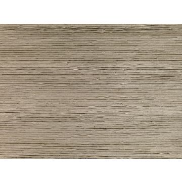 Zinc - Monazite - ZW131/01 Orient